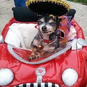 Meet your Posher, Joe